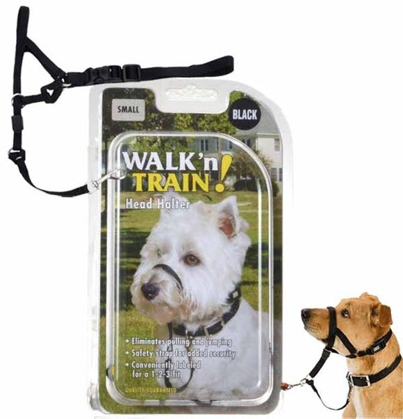 Coastal Walk n Train Head Halter Black (Small)