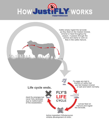 Champion USA JustiFLY Feedthrough Cattle Fly Control