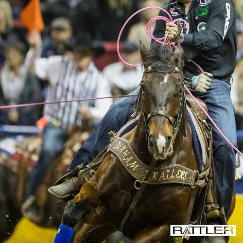 Rattler Rope Triton4 Team Rope, 30-foot Head