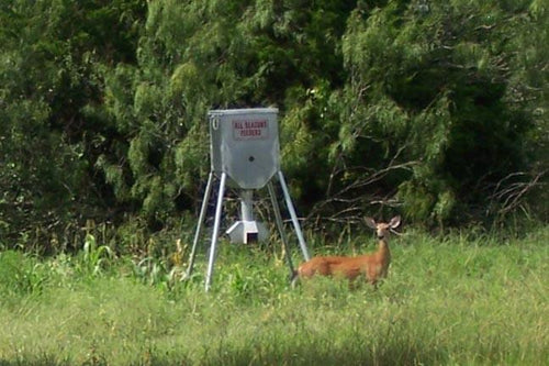 All Seasons Feeders 300lb Galvanized Protein Feeder